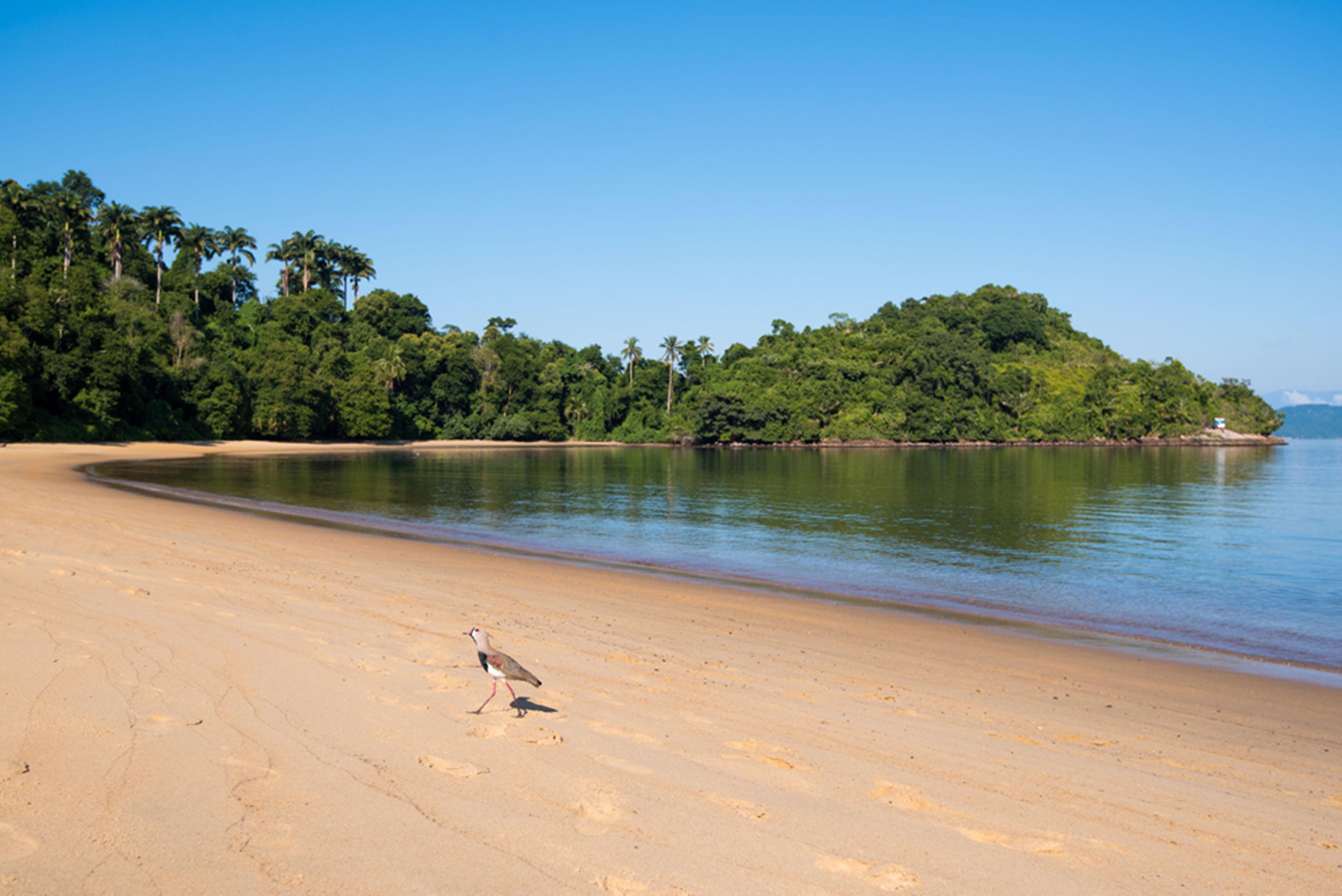 Vila Gale Eco Resort Angra Angra dos Reis Eksteriør bilde Beach at the park